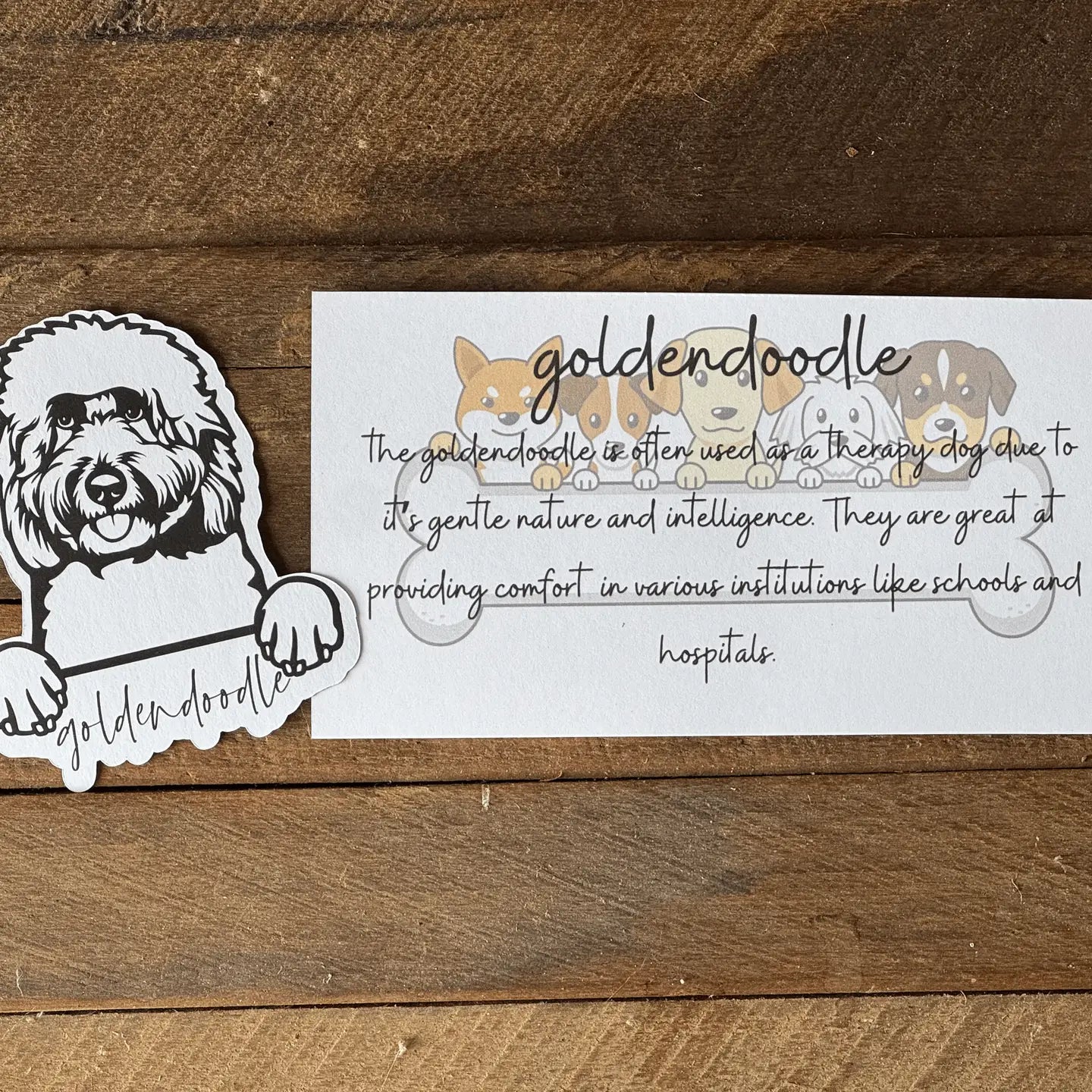 Paws & Personality Magnet 🐶