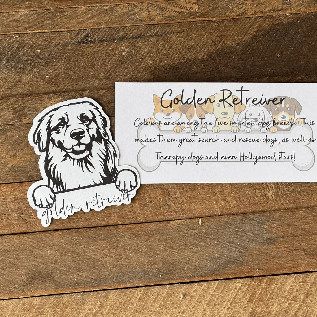 Paws & Personality Magnet 🐶