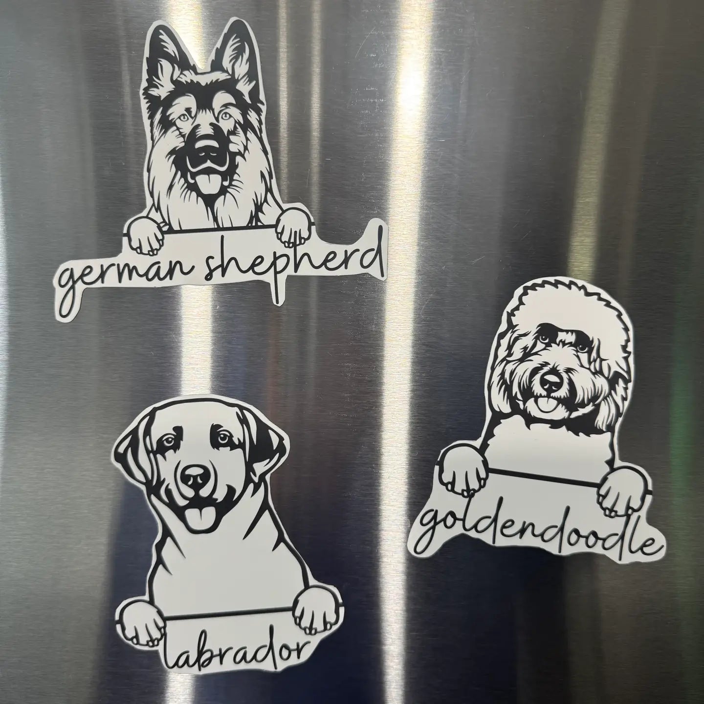 Paws & Personality Magnet 🐶